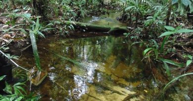 show_Aumento-da-temperatura-2-2-1024x768