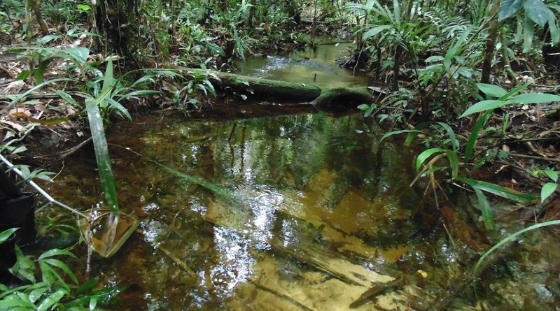 show_Aumento-da-temperatura-2-2-1024x768