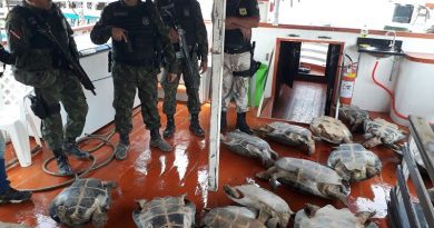 whatsapp-image-2017-10-18-at-12.59.32