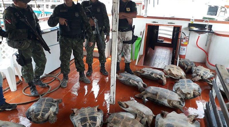 whatsapp-image-2017-10-18-at-12.59.32