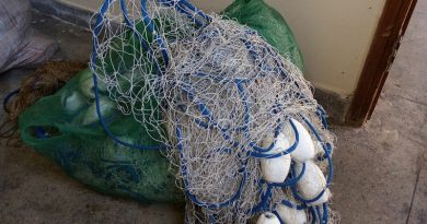 whatsapp-image-2017-10-18-at-3.08.44-pm