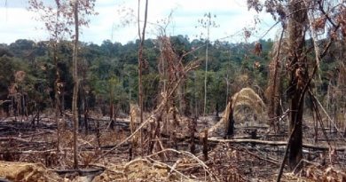 whatsapp_image_2017-10-24_at_17