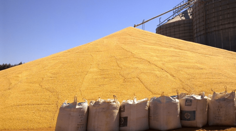 67584938756849758498milhoestocado