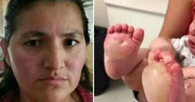 bebes-bolha-1000x500