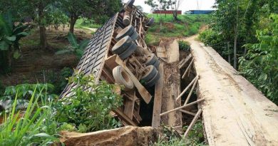 ponte vicinal bambuu