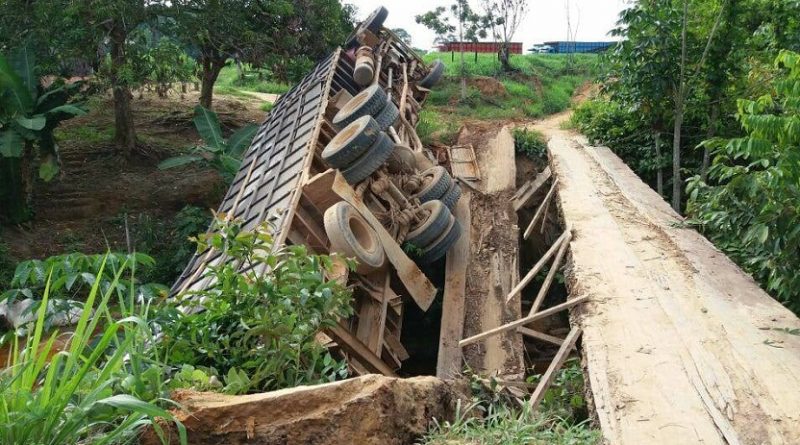 ponte vicinal bambuu
