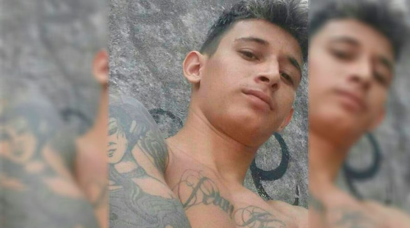 destaque-473792-peta888