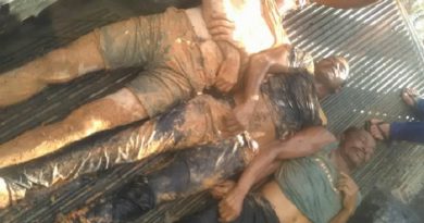 garimperios surucucu1