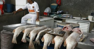 peixe pescado