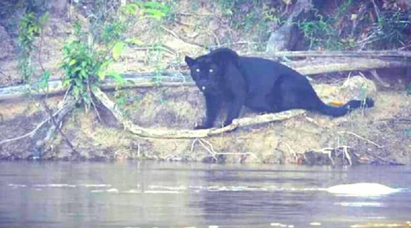 (foto: Vanuza Aparecida Martins)