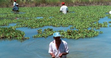 destaque-479616-governo