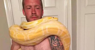 mundo-homem-morto-cobra