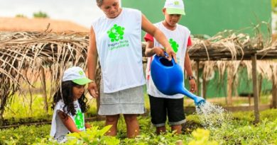 horta_comunitaria_(4)