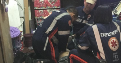 portaldoholanda-827118-imagem-foto-amazonas