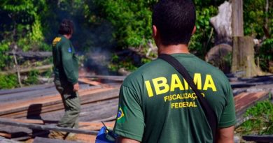 Ibama-1024x683