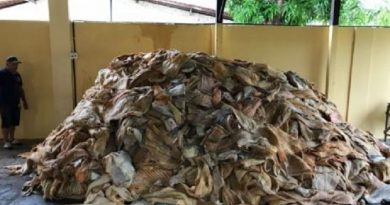 whatsapp_image_2018-04-03_at_14