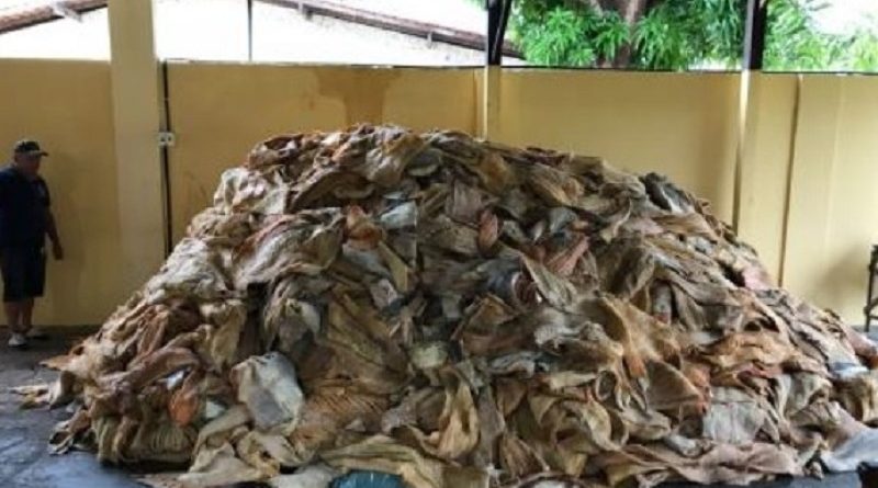 whatsapp_image_2018-04-03_at_14