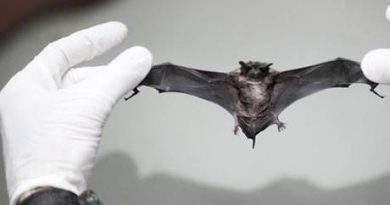 306kbsa12b_3j6x1lhyj3_file