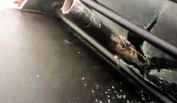 G_ibppyweddcbfiymnkv25xhozdwihkeurp8z1fdtph2yohj4g