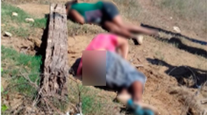 cobertores-19-05-2018-14-19-14