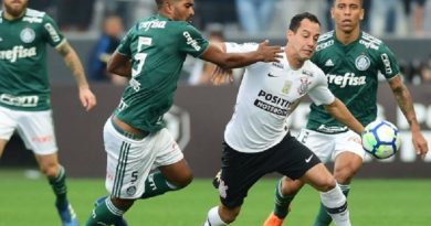 coruithias palmeiras