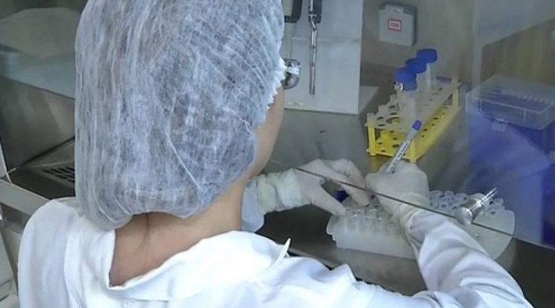 criancas-morrem-com-suspeita-de-infeccao-da-raiva-humana-no-para