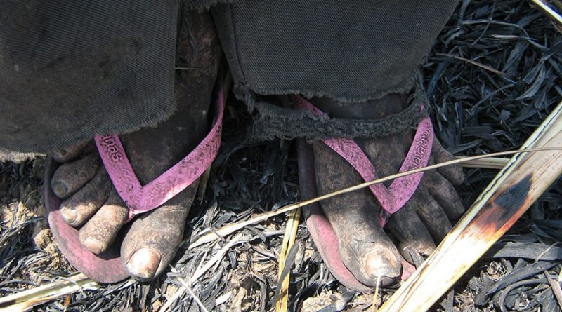 destaque-507779-trabalhadoresescravosdaagrovale7