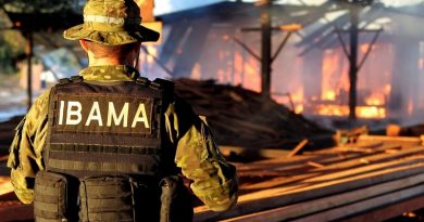 destaque-509600-ibama