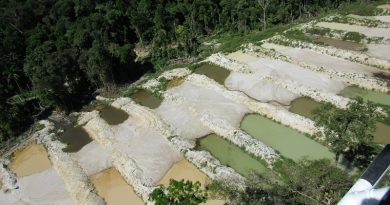 Foto: Paulo de Tarso Moreira Oliveira – arquivo MPF