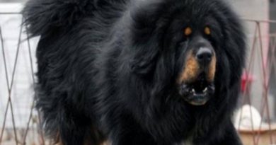 lg-f70c15ac-d571-4801-8626-e252a59b972d