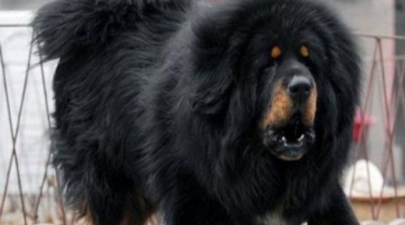 lg-f70c15ac-d571-4801-8626-e252a59b972d