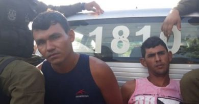 bandiodos monte alegre