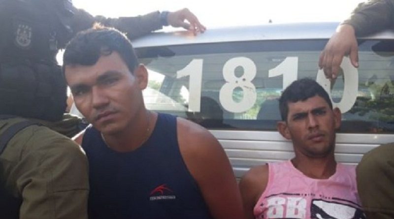 bandiodos monte alegre