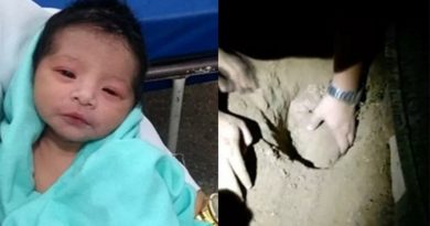 destaque-514260-reproducao