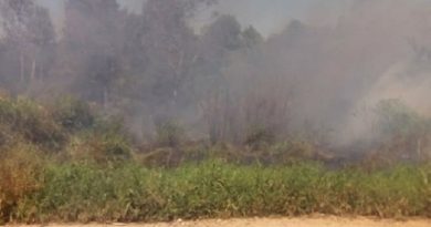 queima santarem jardim np