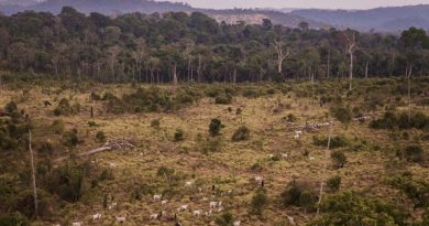 Jamanxin-Bernando-Câmara-1024x683
