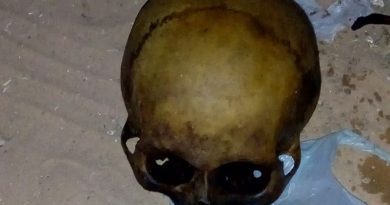 Ossos retirados do cemitério de Peixoto de Azevedo (Foto: Polícia Militar-MT)