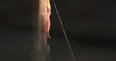 whatsapp_image_2018-07-03_at_22