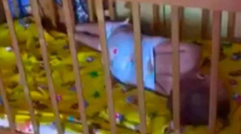 destaque-530507-creche