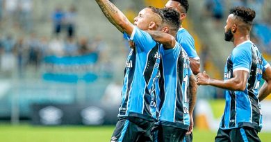 gremio libertadores
