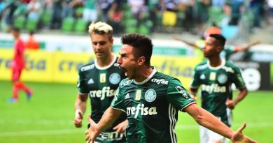 palmeiras