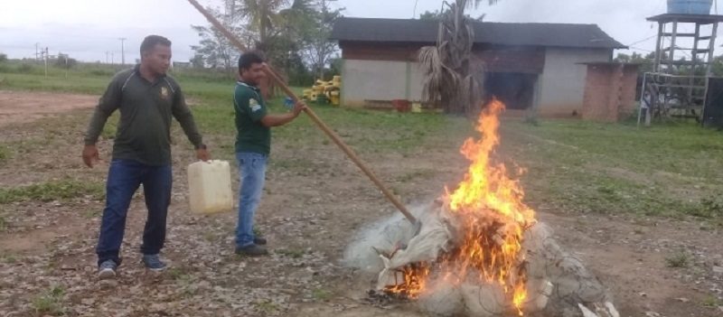 Mega-operacao-apreende-uma-tonelada-de-peixes-no-Lago-Tucurui-PA-2