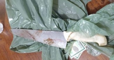 PhotoGrid_1541808714051-768x512