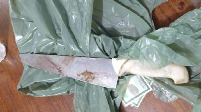 PhotoGrid_1541808714051-768x512