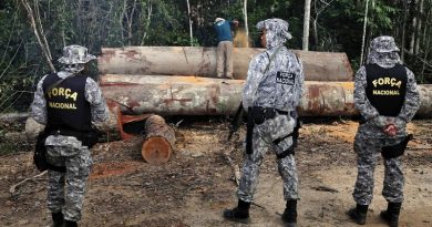 Mário Vilela/Funai/Agência Brasil