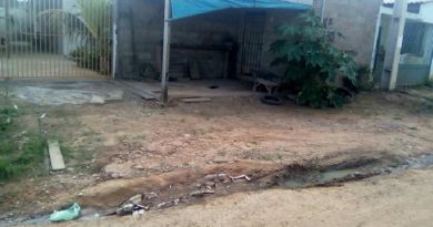 47580609_312392046045091_3771489432058724352_n