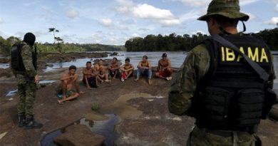ibama