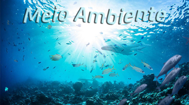 meio ambi