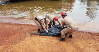 20190122_134952-768x447