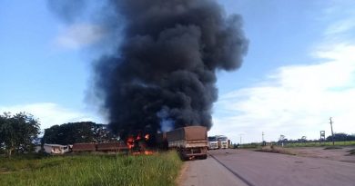 49210716_306914039933517_5794992037241552896_n